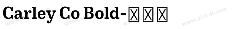 Carley Co Bold字体转换